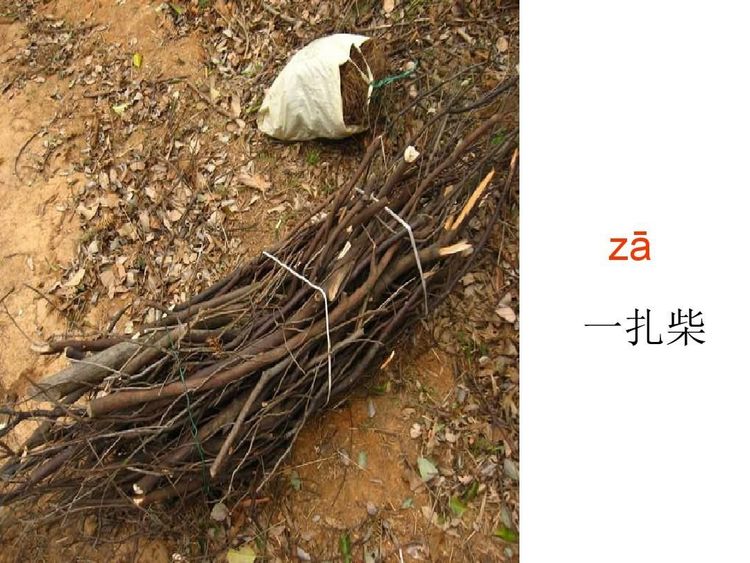 扎拼音(扎字有几个读音？怎么组词？)-第2张图片-蝶芒网