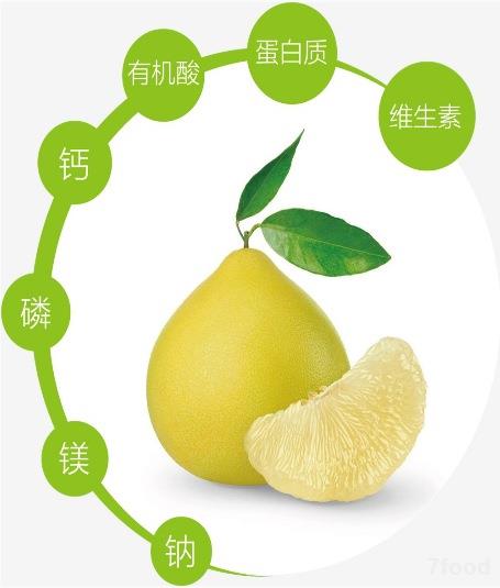食品科技网图片