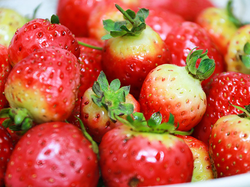 葛森疗法真的有用吗