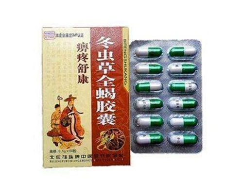 冬虫夏草全蝎胶囊作用