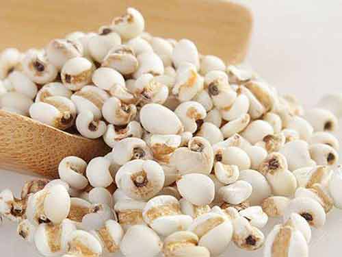 薏苡仁美容水怎么样