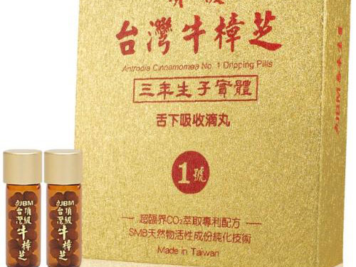 台湾的灵芝牛樟芝功效与作用