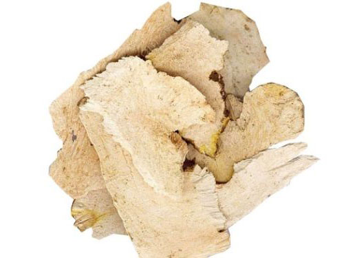 土茯苓功效与作用
