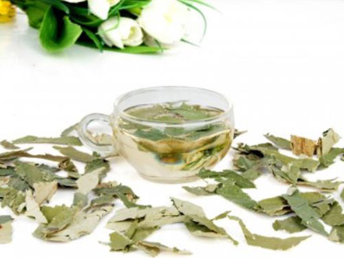 荷叶减肥茶