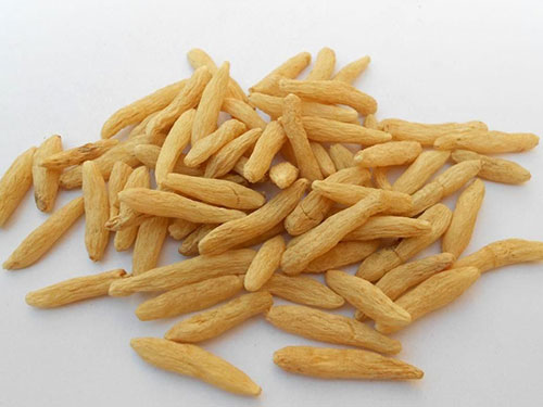 麦冬提取物怎么样