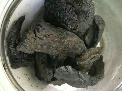 银杏肉苁蓉的功效与作用