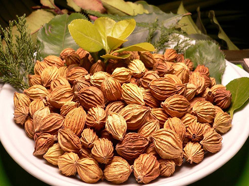 砂仁的功效与作用及禁???