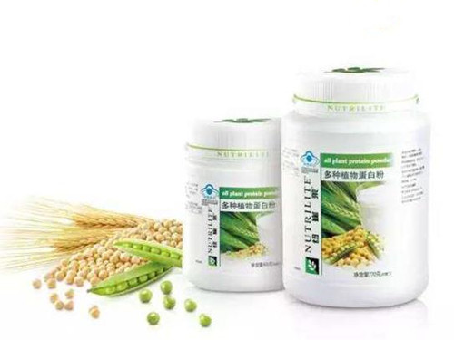 安利蛋白粉多少钱一桶