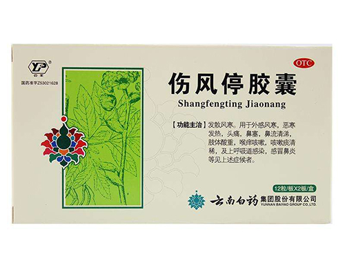 伤风停胶囊和蒲地蓝消炎片能一起吃吗