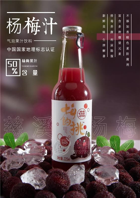 杨梅汁气泡果汁杨梅碳酸果汽水招商