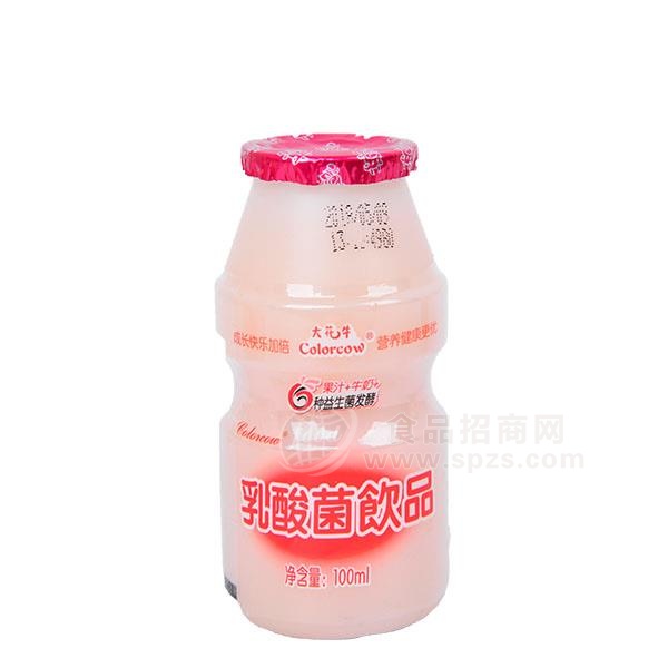 大花牛乳酸菌饮品100ml