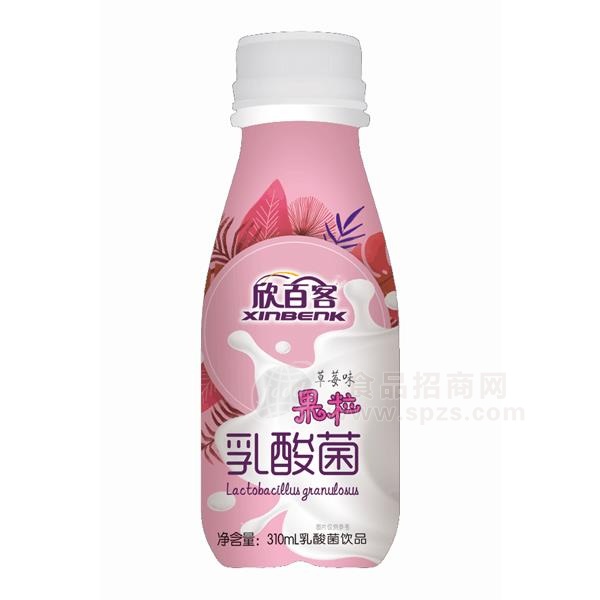 欣百客草莓味果粒乳酸菌饮品乳饮料310ml