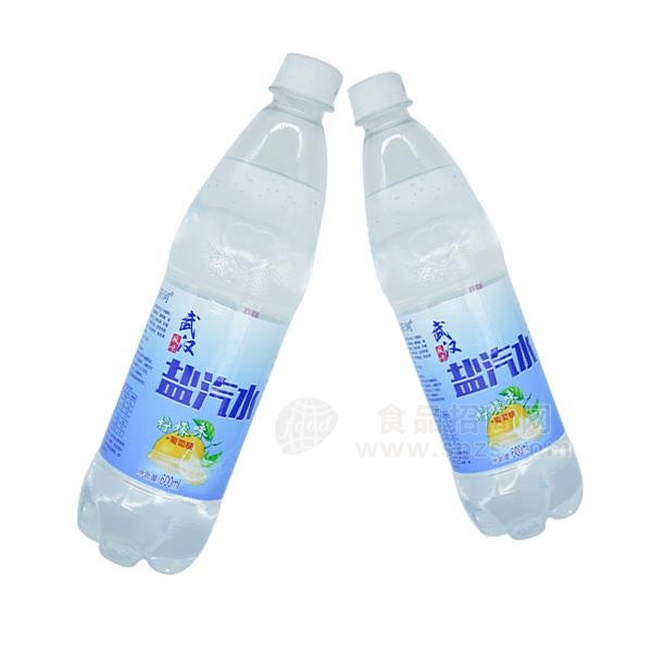 沌阳河 武汉风味盐汽水柠檬味+葡萄糖盐汽水饮料果汁饮料 600ml