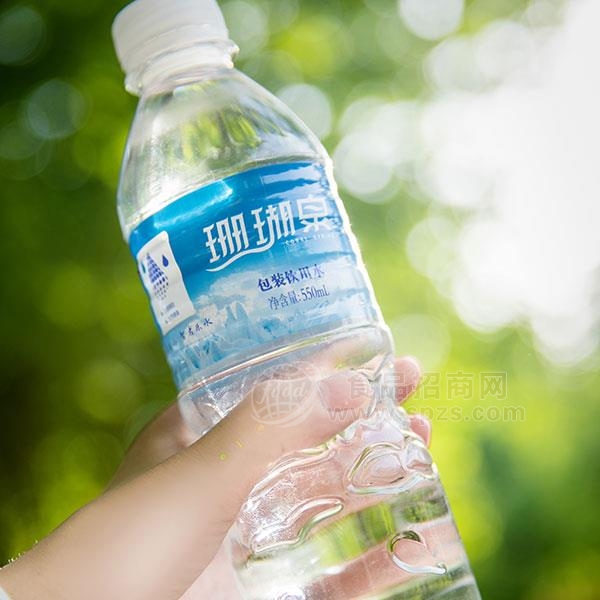 乐尚珊瑚泉包装饮用水 矿泉水 纯净水 550ml