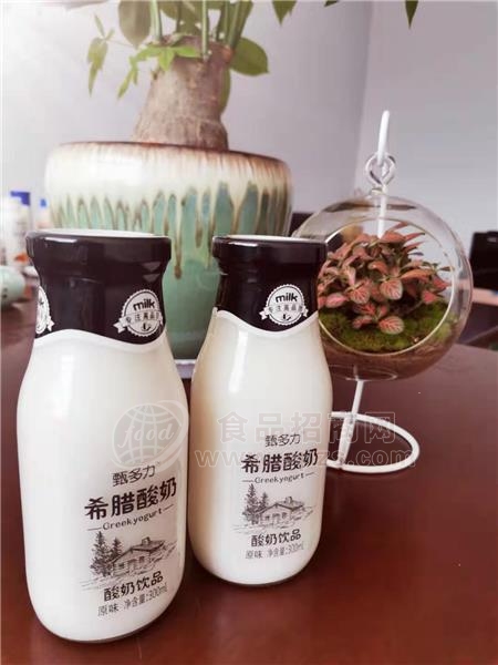 甄多力原味酸奶玻璃瓶酸奶 300ml