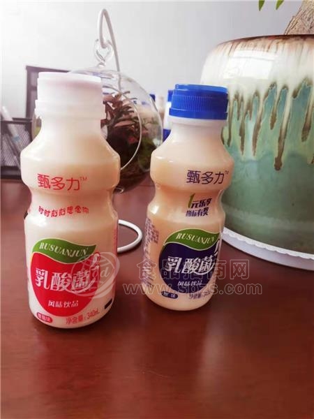 甄多力乳酸菌风味饮料 340ml