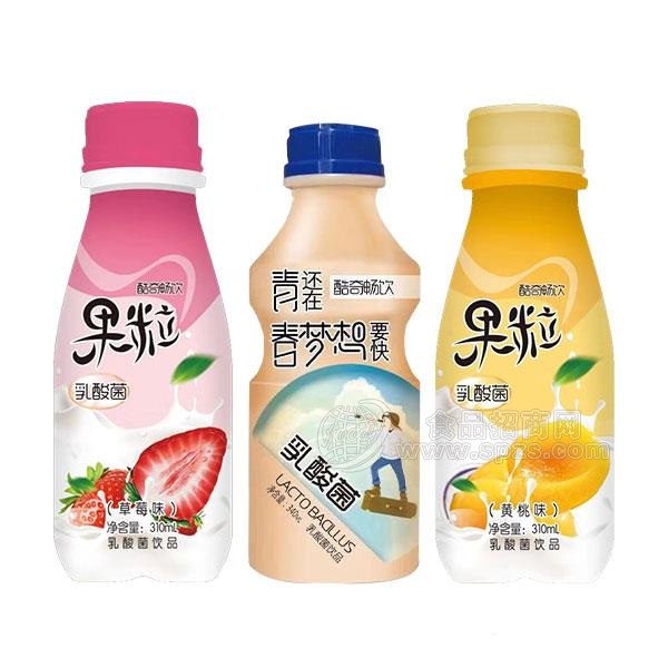 酷奇畅饮乳酸菌饮品招商340ml