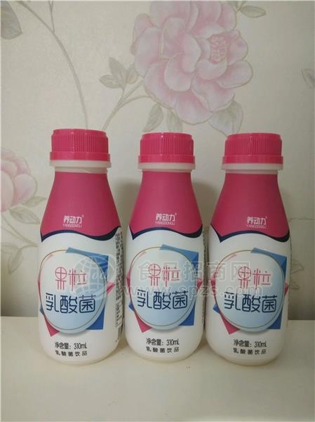 果粒乳酸菌