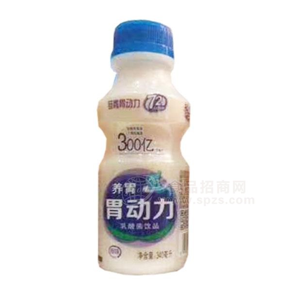 乳酸菌饮品340ml