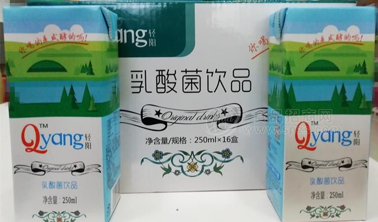 轻阳乳酸菌饮品（整箱）招商