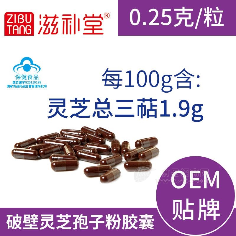 破壁灵芝孢子粉胶囊  OEM代加工 江苏滋补堂药业生产招商