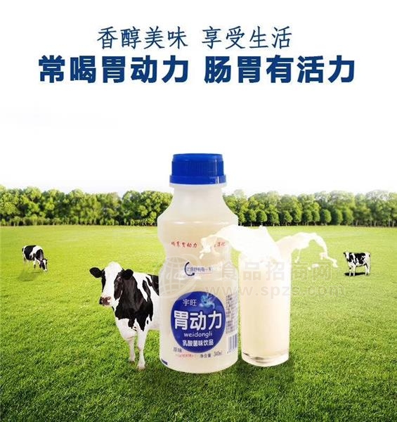 乳酸菌饮品 340ml*12瓶装 儿童牛奶酸奶益生菌饮料厂家批发招商招商