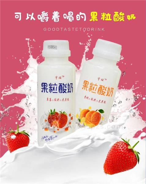 乳酸菌饮品 340ml*12瓶装 儿童牛奶酸奶益生菌饮料厂家批发招商