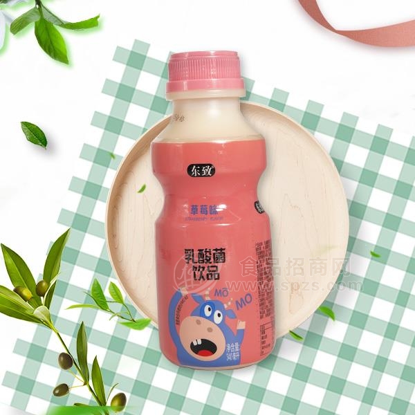 东致 草莓味乳酸菌饮品 乳饮料 340ml