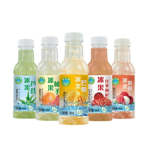 壹滋雅  冰果椰果果肉饮品445ml