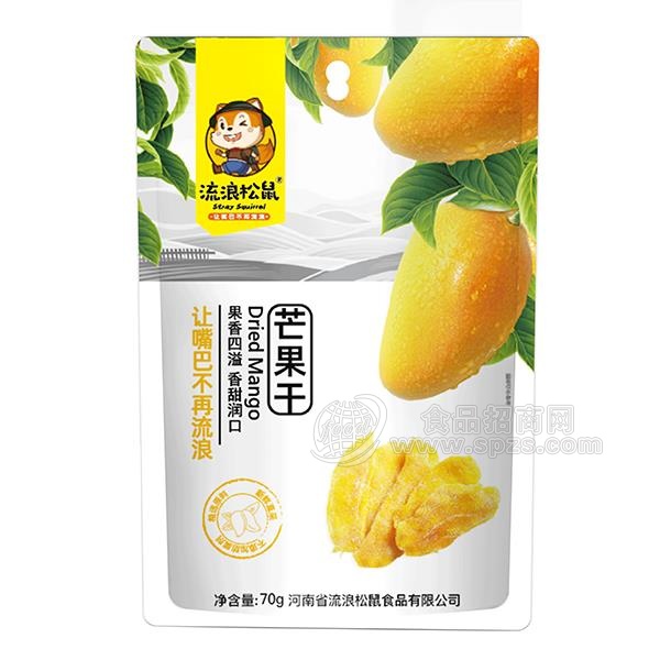 流浪松鼠芒果干水 果干蜜饯果脯休闲食品零食新品招商70g