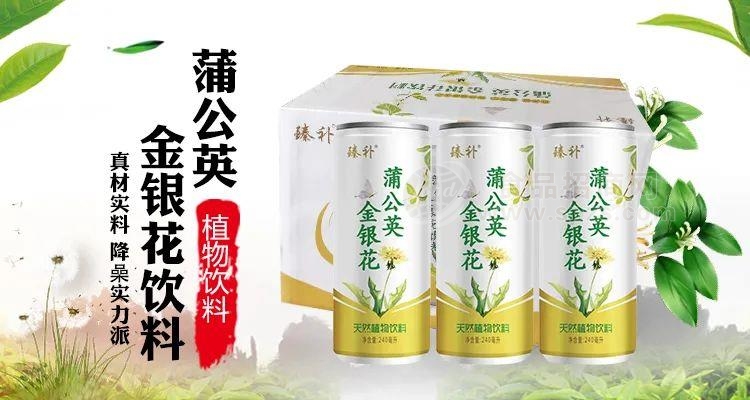 臻补 蒲公英金银花饮料 天然植物饮料 240ml 礼盒 饮品 (1)