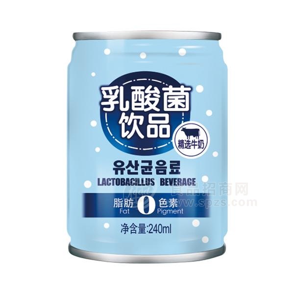 罐装 乳酸菌饮品 方便携带装 乳酸菌新品招商  240ml