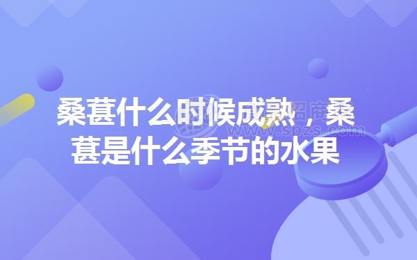 桑葚什么时候成熟(桑葚是什么季节的水果)