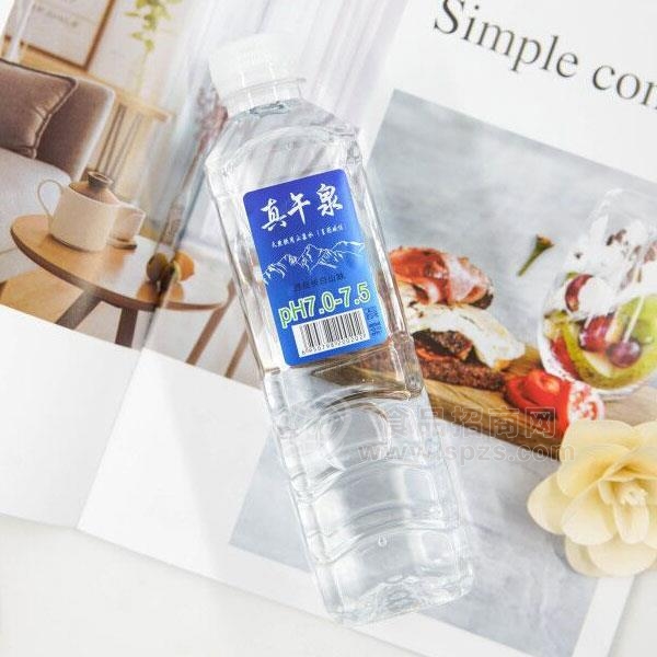 真午泉饮用山泉水纯净甘甜 真午泉饮用山泉水纯净甘甜