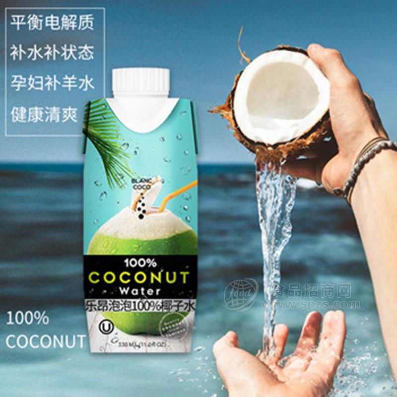 乐昂泡泡泰国进口饮料椰子水果蔬汁饮料椰子汁整箱