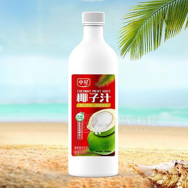 中星 椰子汁  植物蛋白饮料 920ml