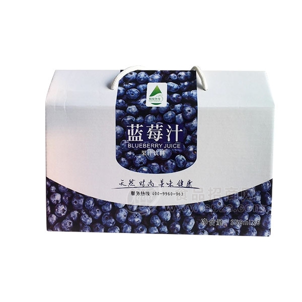 炫异争奇 蓝莓汁果汁饮料250ml*6