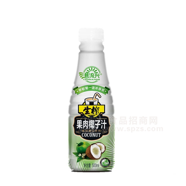 潮流兴生榨果肉椰子汁500ML