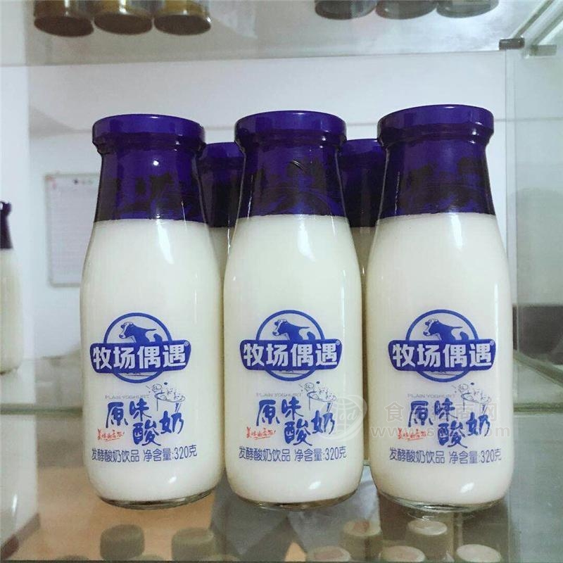 牧场偶遇玻璃瓶酸奶发酵酸奶原味酸奶320克
