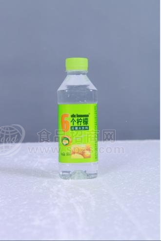 6个柠檬柠檬水饮料