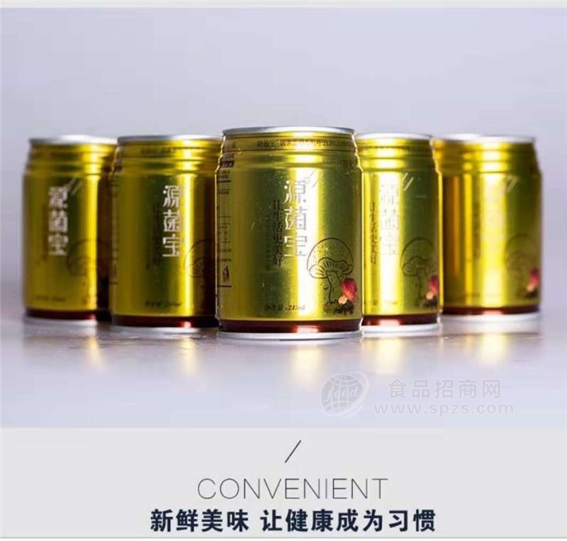 源菌宝植物维生素能量饮料245ml