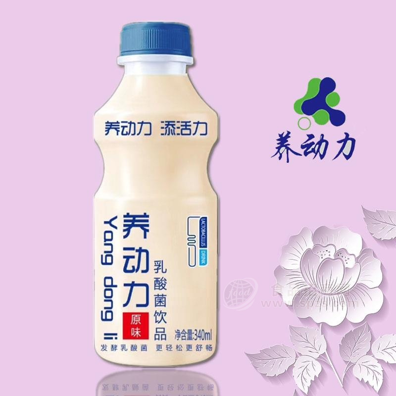 养动力 乳酸菌饮料 乳饮品 340ML招商代理招商