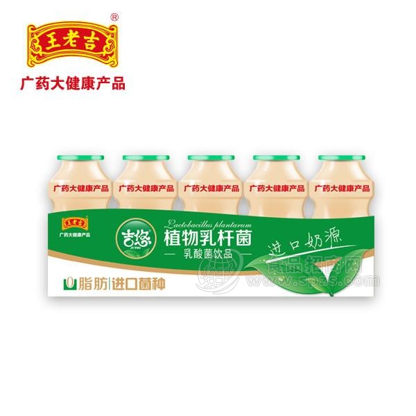 吉悠植物乳杆菌乳酸菌饮品100ml