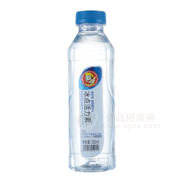 鑫全求 冰点活力素青柠味葡萄糖饮料果汁饮料500ml