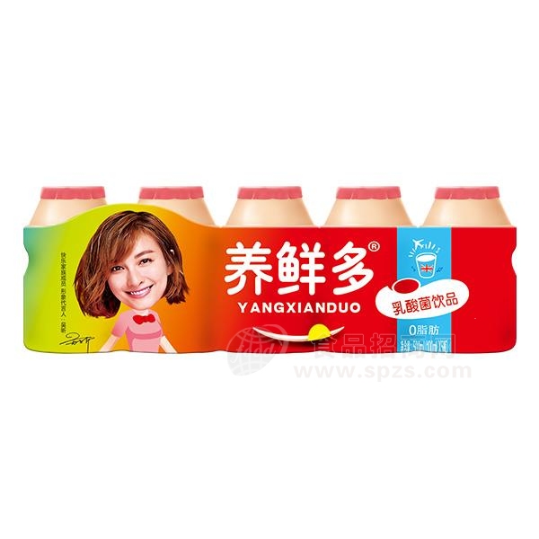 养鲜多乳酸菌饮品100ml