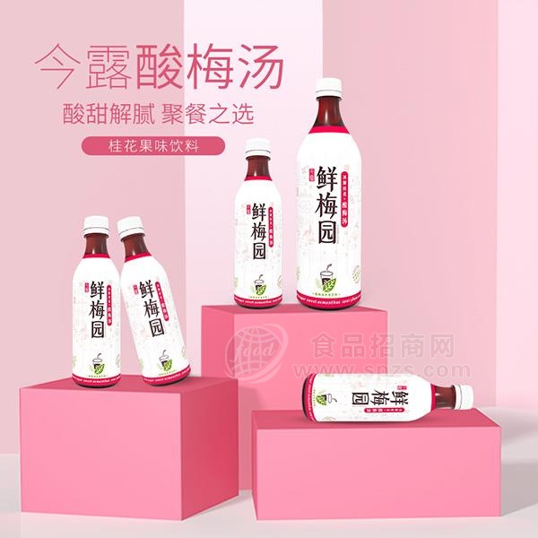 今露酸梅汤桂花果味饮料招商风味酸梅汁代理新品上市380ml