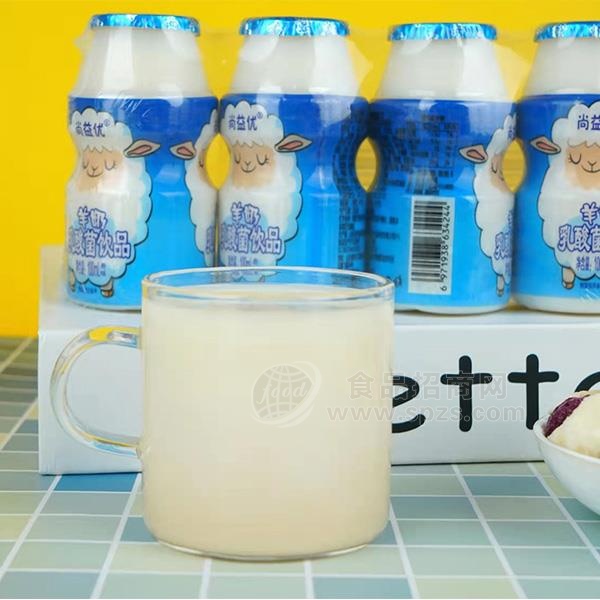 羊奶乳酸菌饮品招商尚益优儿童乳酸菌代理100ml