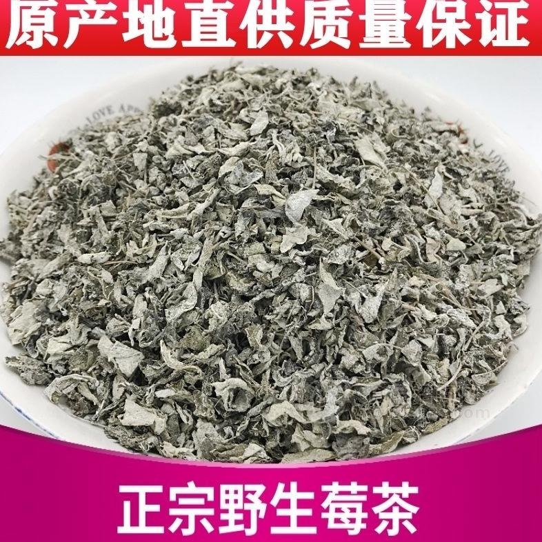 广西特产正宗野生莓茶招商