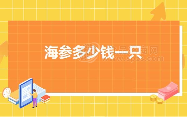 海参多少钱一只