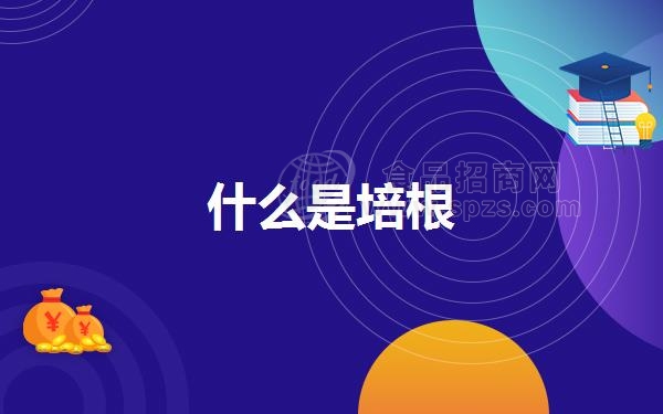 什么是培根
